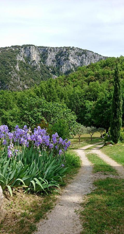 Gite En Cevennes Du Sud, Bergerie Restauree Au Rez De Jardin D'Une Bastide Avec Piscine, Vue Exceptionnelle, Authenticite Et Confort Saint-Laurent-le-Minier Экстерьер фото