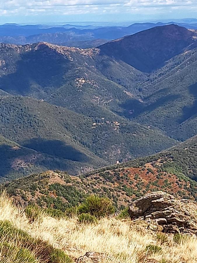 Gite En Cevennes Du Sud, Bergerie Restauree Au Rez De Jardin D'Une Bastide Avec Piscine, Vue Exceptionnelle, Authenticite Et Confort Saint-Laurent-le-Minier Экстерьер фото